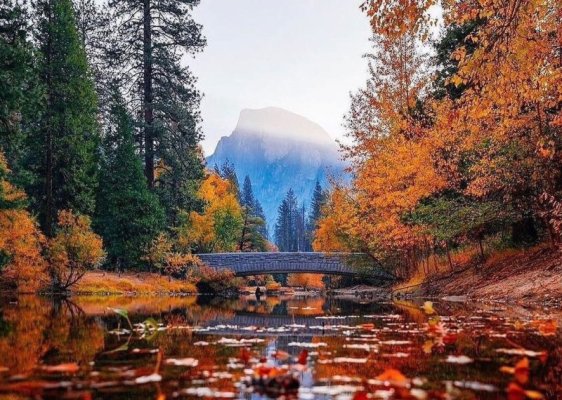 000 Yosemite National Park.jpg
