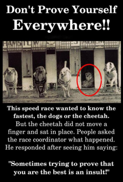 1697254874490.png