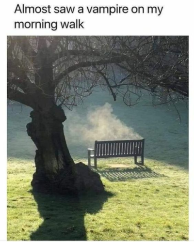 1697305460779.png