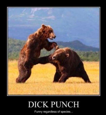 dick punch.jpg