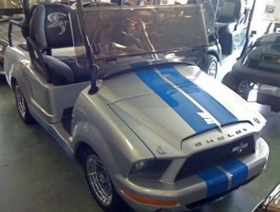 Golf Cart New Shelby.jpg