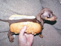 lo0322hotdog.jpg