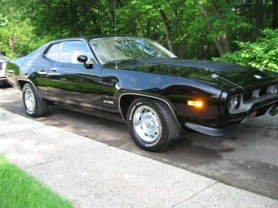 IMG_0294 (Large).jpg IMG_0294 (Large).jpg