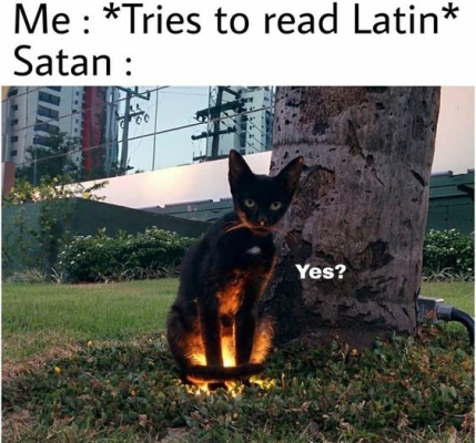 1697648436072.png