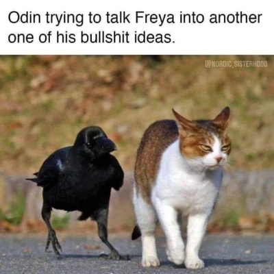 1697733575890.png