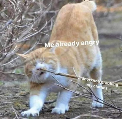 1697733913892.png