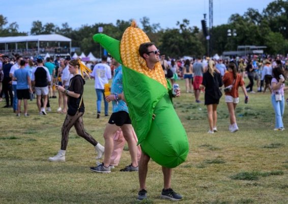 Corn on the cob.jpg