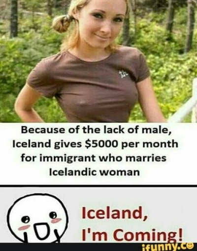 1697936476858.png