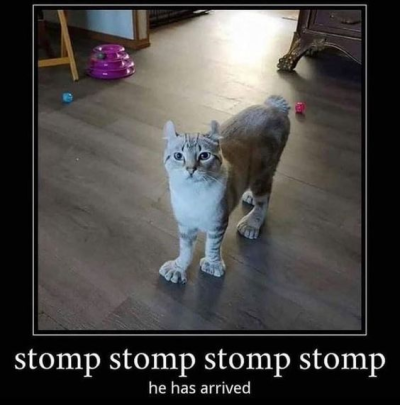 1698045899895.png