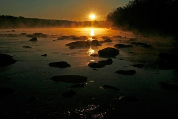 5d5aadda7700b.image.jpg