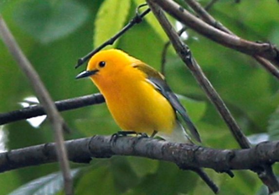 5d5aadd407c0c.image.jpg