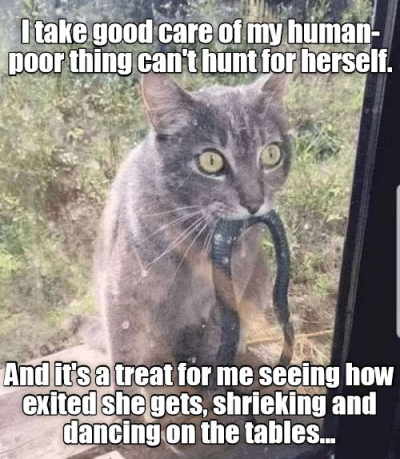 1698125042473.png