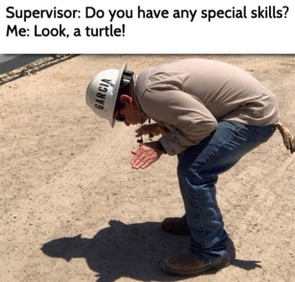 1698153046670.png