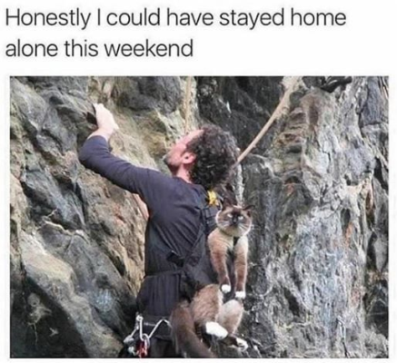 1698165071036.png