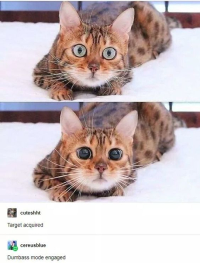 1698227213139.png