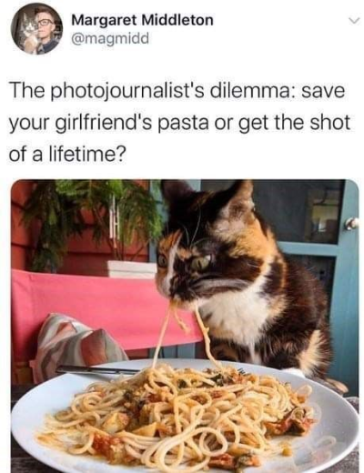 1698251825341.png