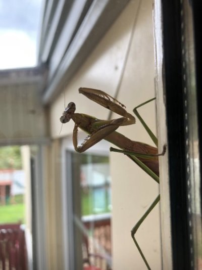 IMG_0468.jpeg