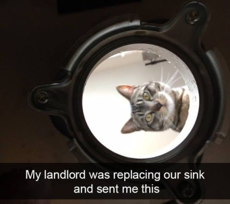 1698376150547.png