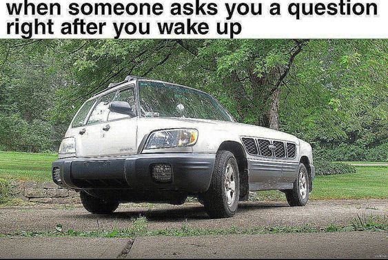 1698376923565.png