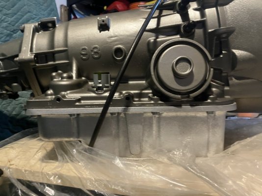 IMG_0238.jpeg IMG_0238.jpeg