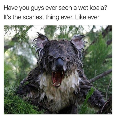 1698821554895.png