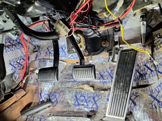 20231029_124122 - Copy.jpg