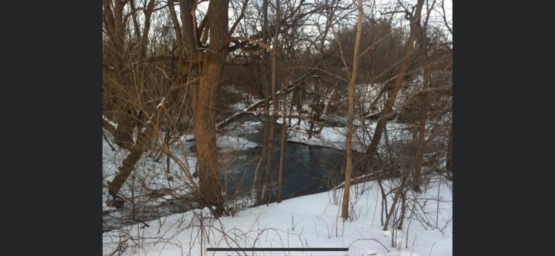 winter creek.jpg
