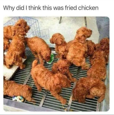 1699087175130.png