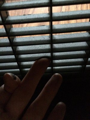 photo 2.jpg
