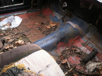 photo (24).jpg photo (24).jpg