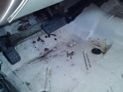 CAM00050.jpg CAM00050.jpg