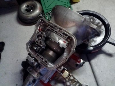 CAM00303.jpg CAM00303.jpg