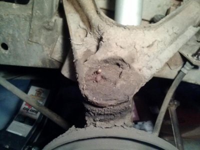 CAM00372.jpg CAM00372.jpg