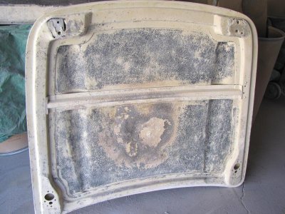 IMG_1879.jpg IMG_1879.jpg