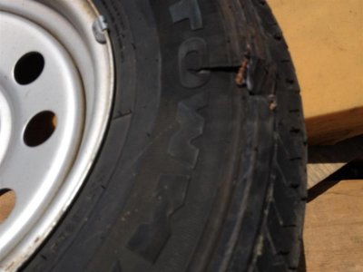 IMG_2022 (Large).jpg IMG_2022 (Large).jpg