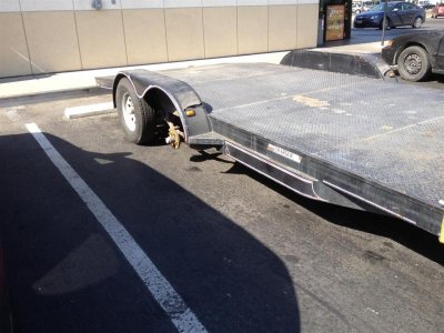 IMG_2033 (Large).jpg IMG_2033 (Large).jpg