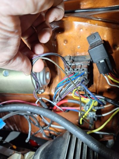 20231105_112456.jpg 20231105_112456.jpg