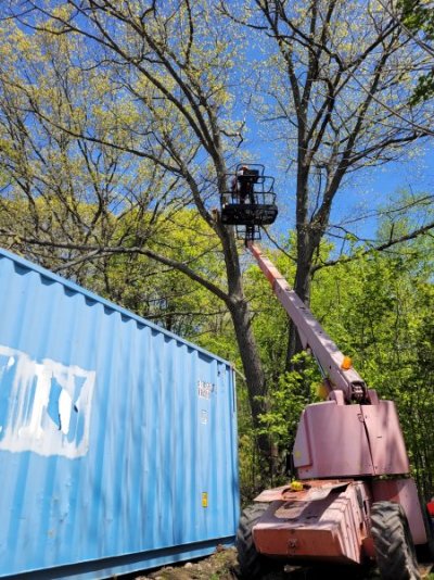 treecuttingmay2023 023.jpg treecuttingmay2023 023.jpg