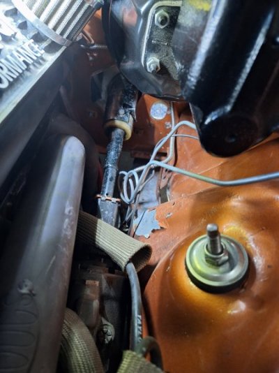 20231105_131131.jpg 20231105_131131.jpg