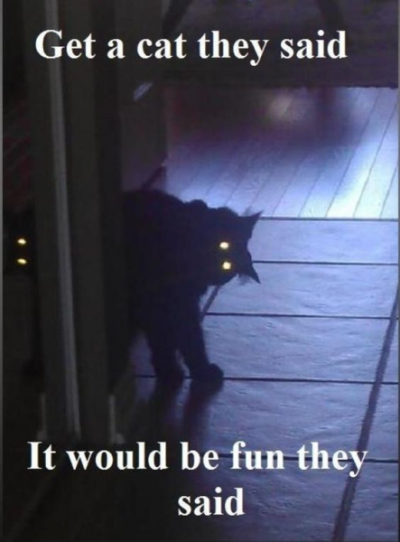 1699752671495.png