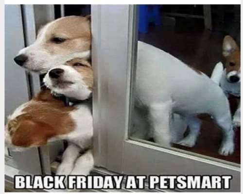 1699879511524.jpeg 1699879511524.jpeg