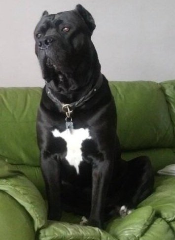 awesome.jpg awesome.jpg