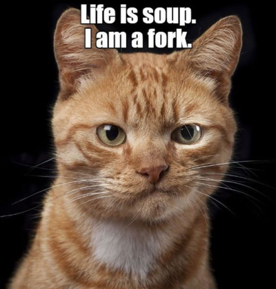1699933677327.png