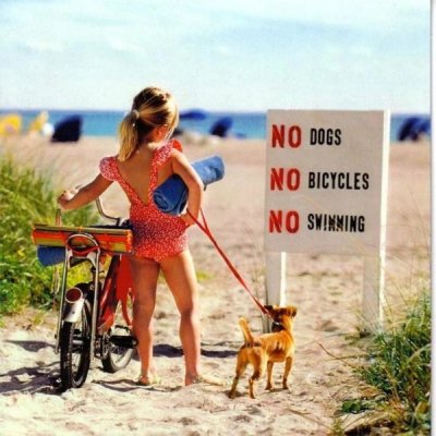 Little-Rebel-Didn’t-Hurt-Beach-Authorities.jpg