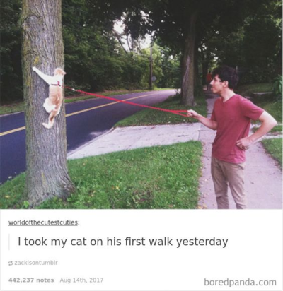 1700023110800.png