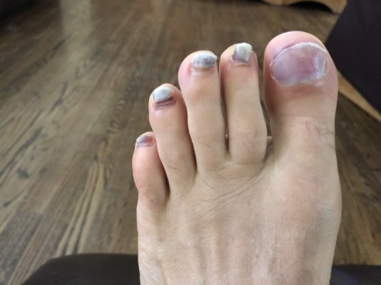 IMG_5100.jpeg