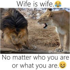 1700152745448.png