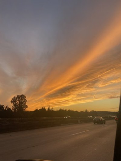 14691F73-4955-4B0E-9A16-27B22B2566C9.jpeg