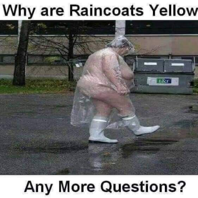 1700244308128.png