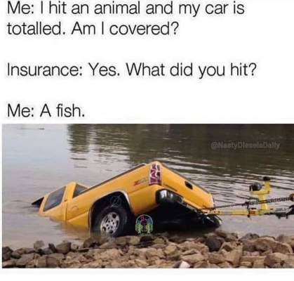 1700272595126.png